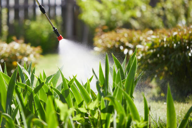 Tamper-Resistant Bait Stations for Rodents in Lisbon Falls