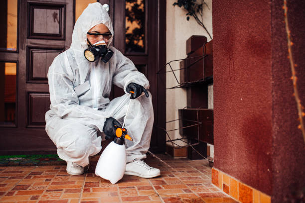 Attic and Crawl Space Rodent Treatment in Lisbon Falls