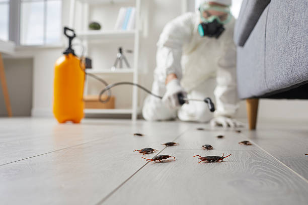 Commercial Rodent Management in Lisbon Falls